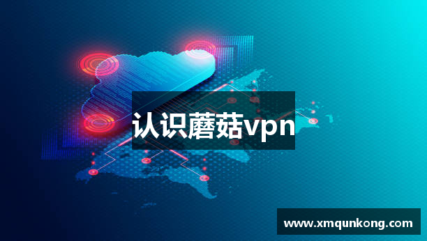 认识蘑菇vpn
